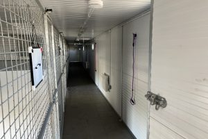whitton moor farm kennels