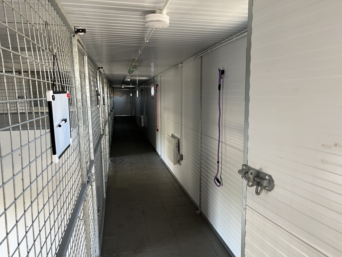 whitton moor farm kennels
