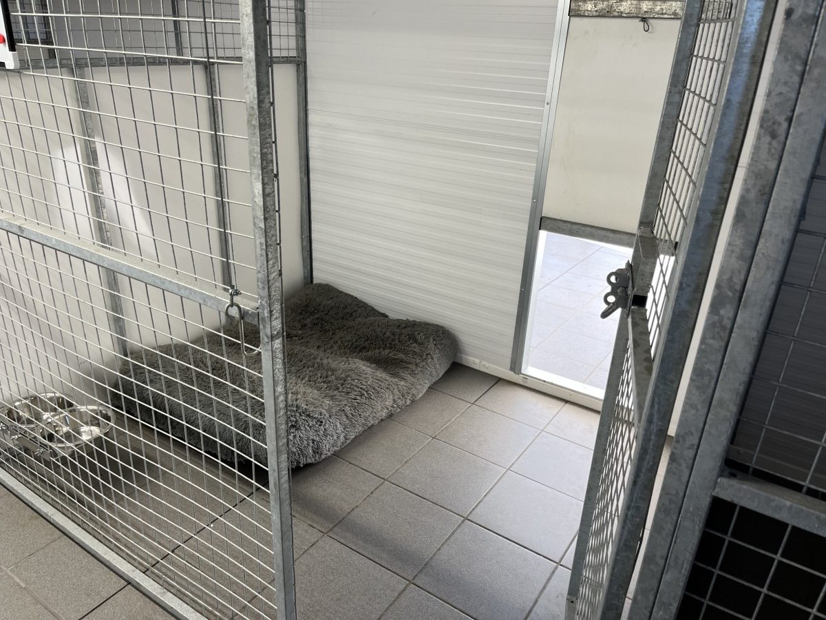 whitton moor farm kennels