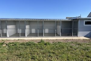 whitton moor farm kennels
